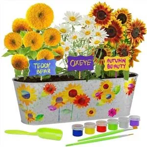 Jendela Melalui Kit Tanaman